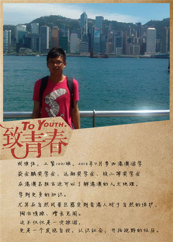 成维佳海报